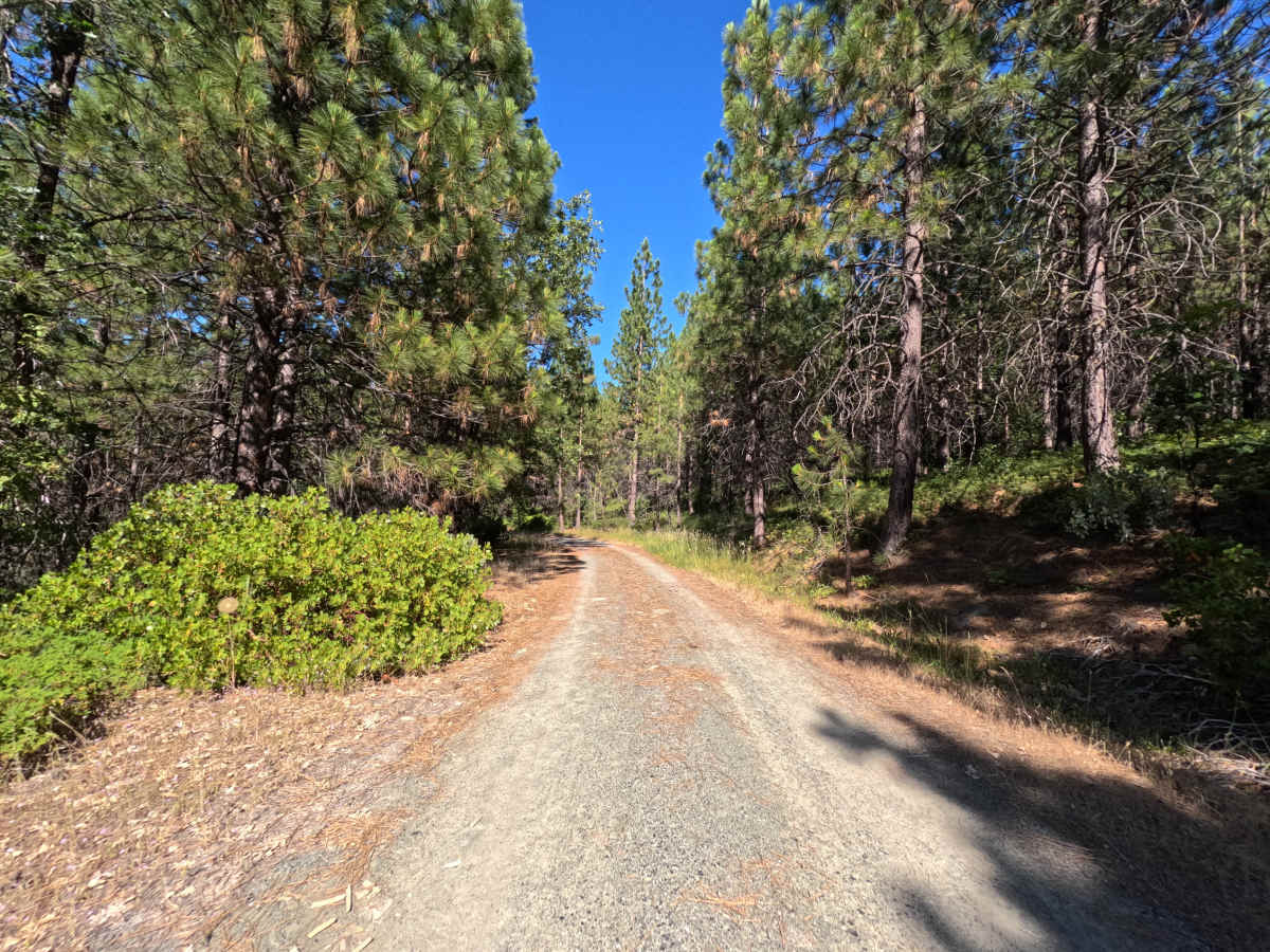 FS 1S89 photo 5