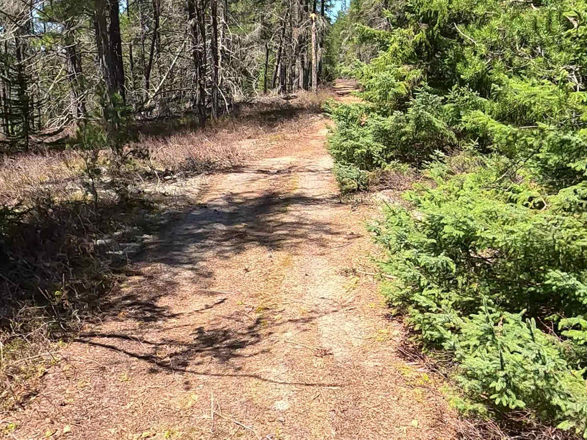 Goose Marsh Road trail photo