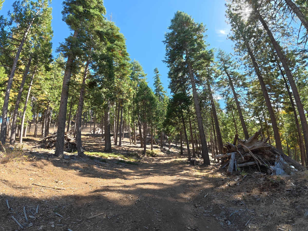 FS 4N82 trail photo