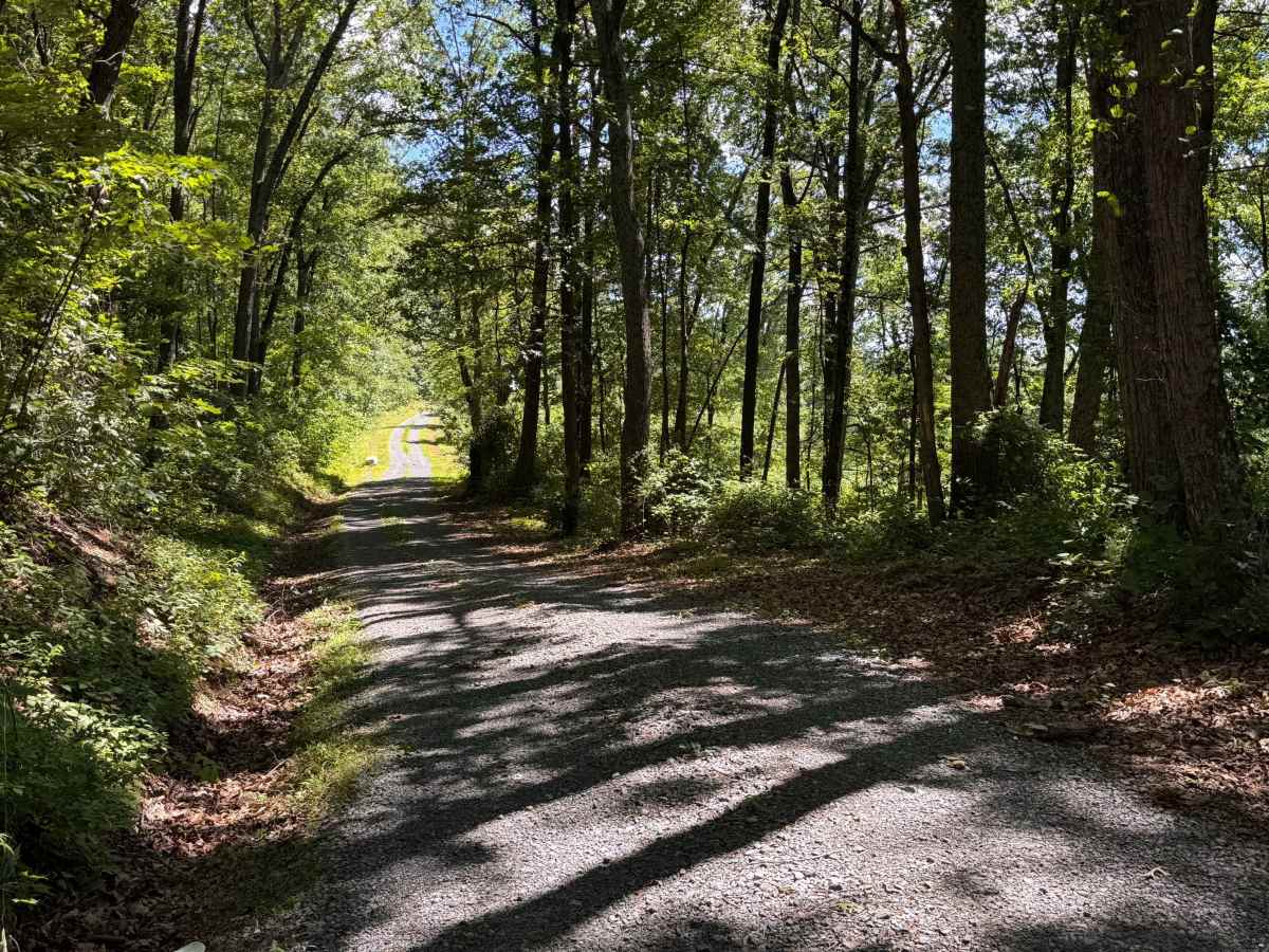 Moss Road - T-318 photo 2