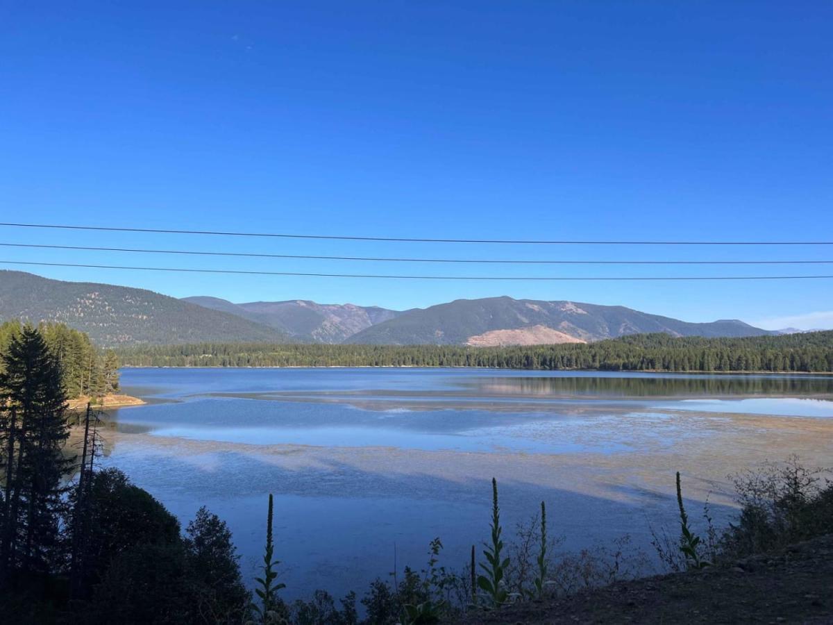 Stevens Creek Road trail photo