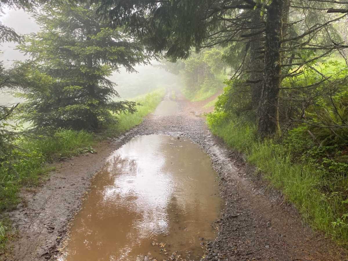 Prairie Peak photo 5