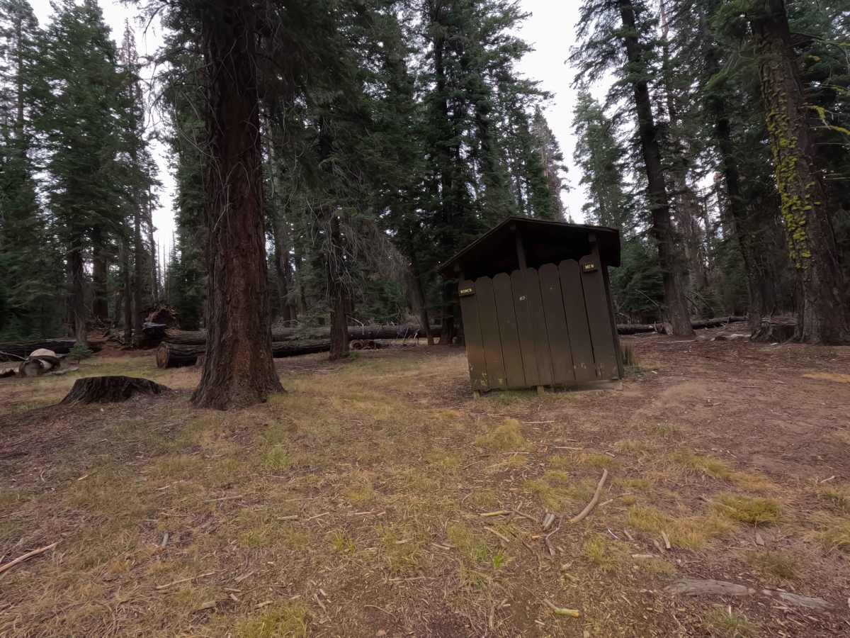 East Fork Chiquito Creek - FS 5S011 photo 6