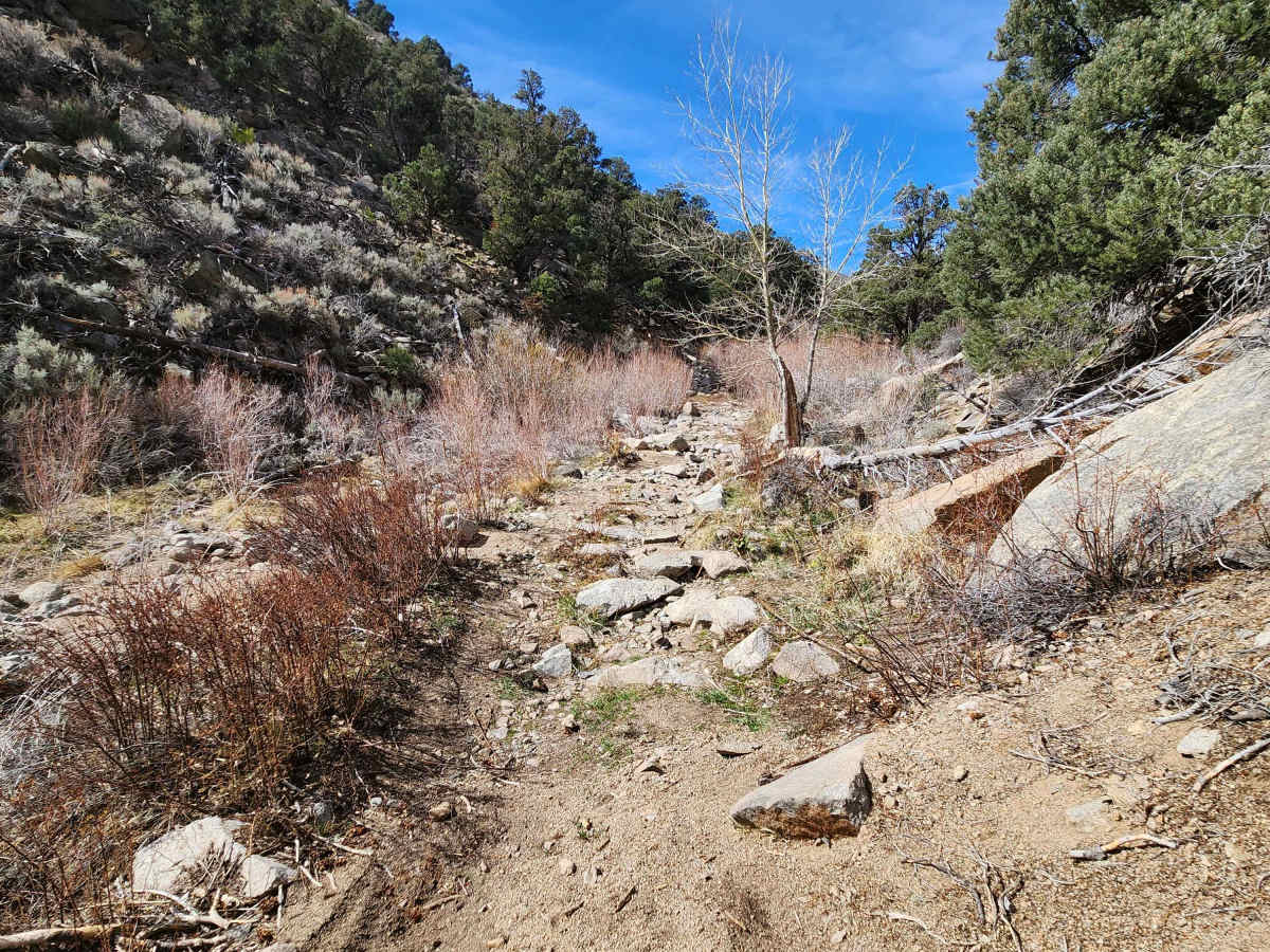 Como Sunrise Crossover Trail photo 3