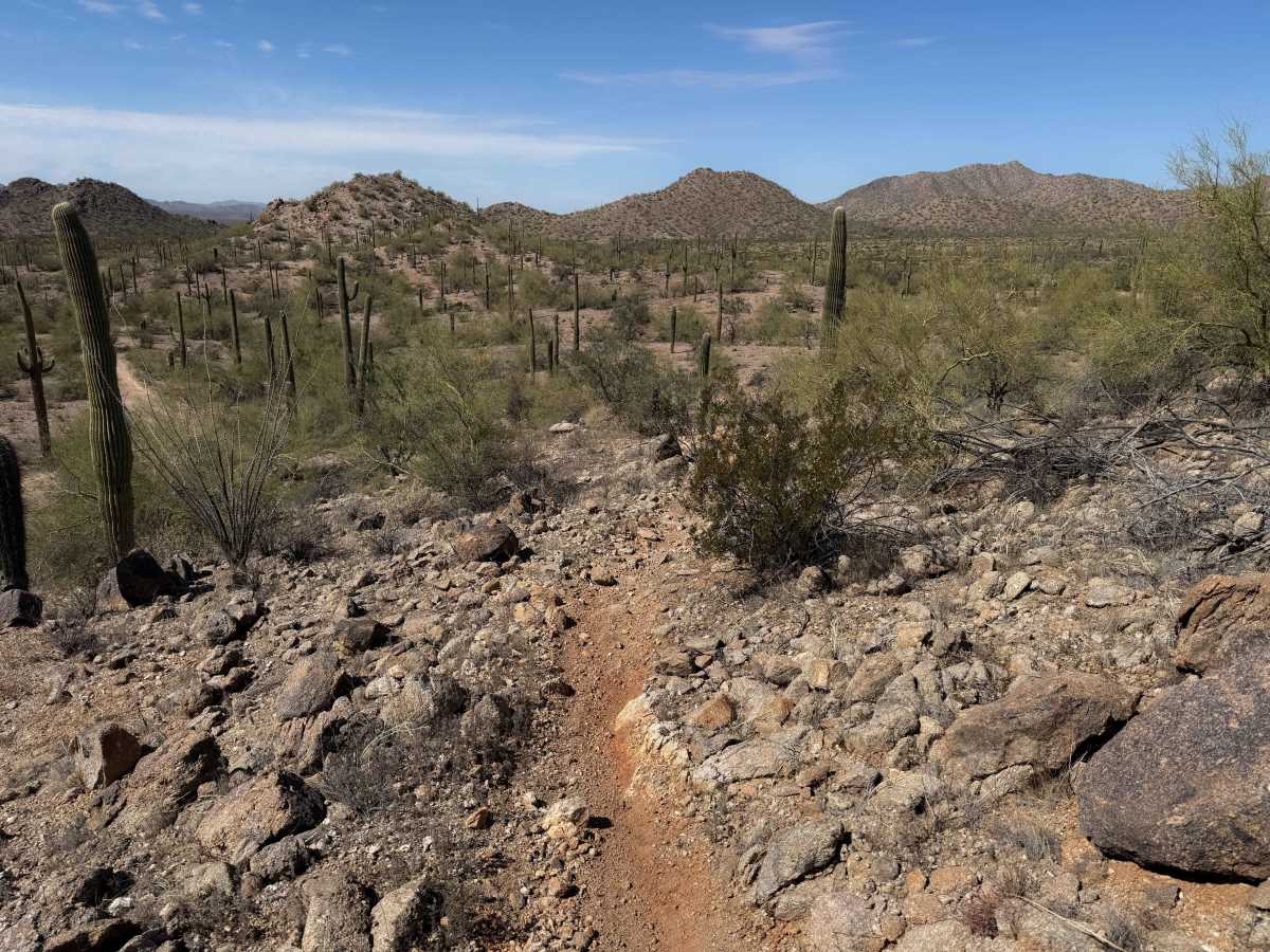 Bh1278 Singletrack  photo 2