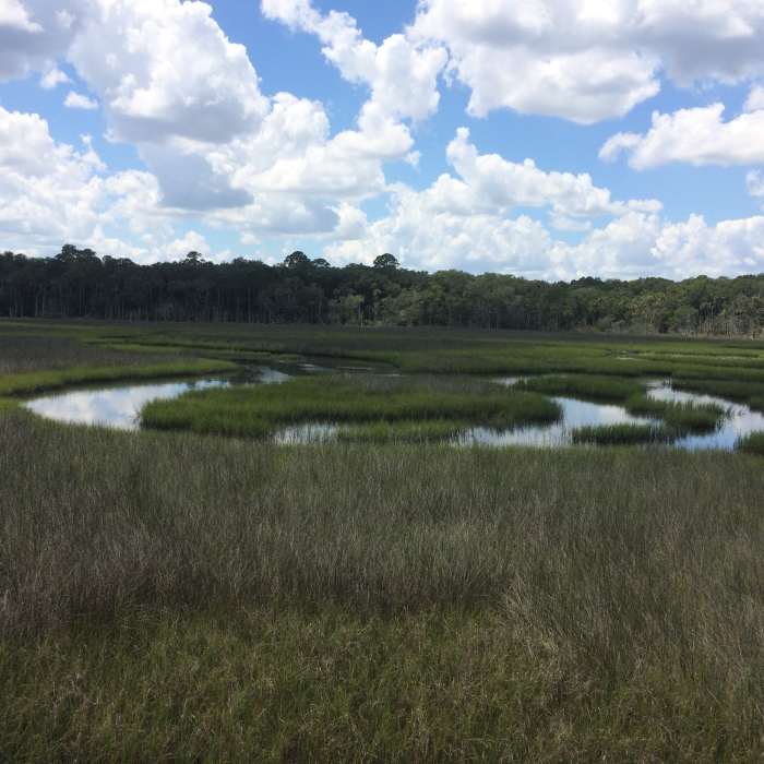 View of the surrounding marsh from an elevated platform. Near Fort Caroline Trails