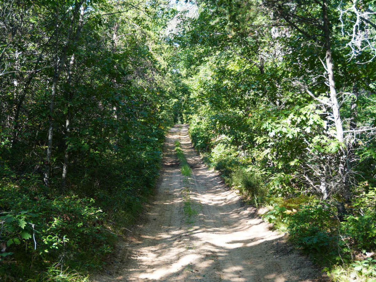 Twin Lakes Trail trail photo