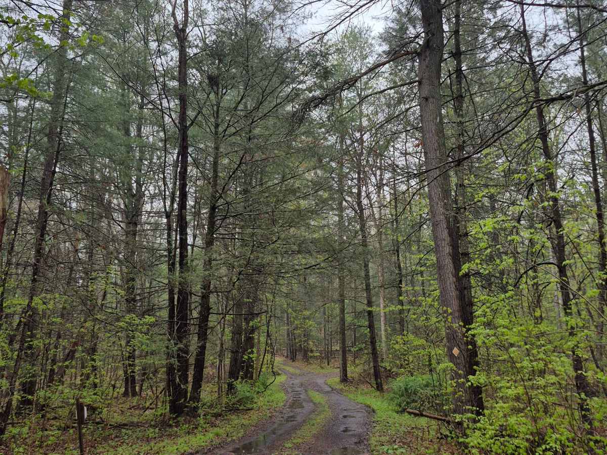 Rock Spring Trail photo 5