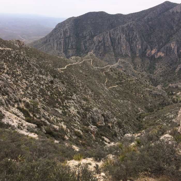 Near Texas Evergreen Tour