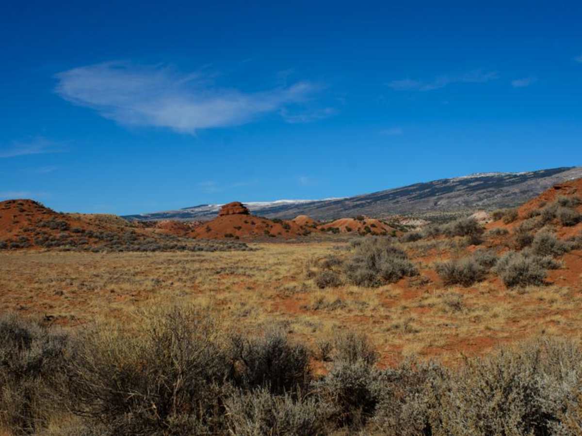 Gyp Springs Road trail photo