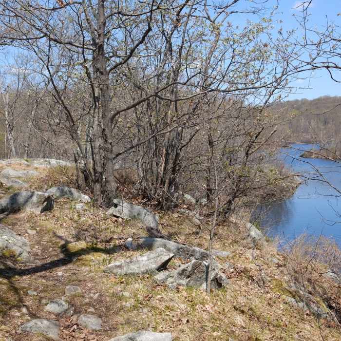 Red Trail - lake view Near Butler Reservoir Loop