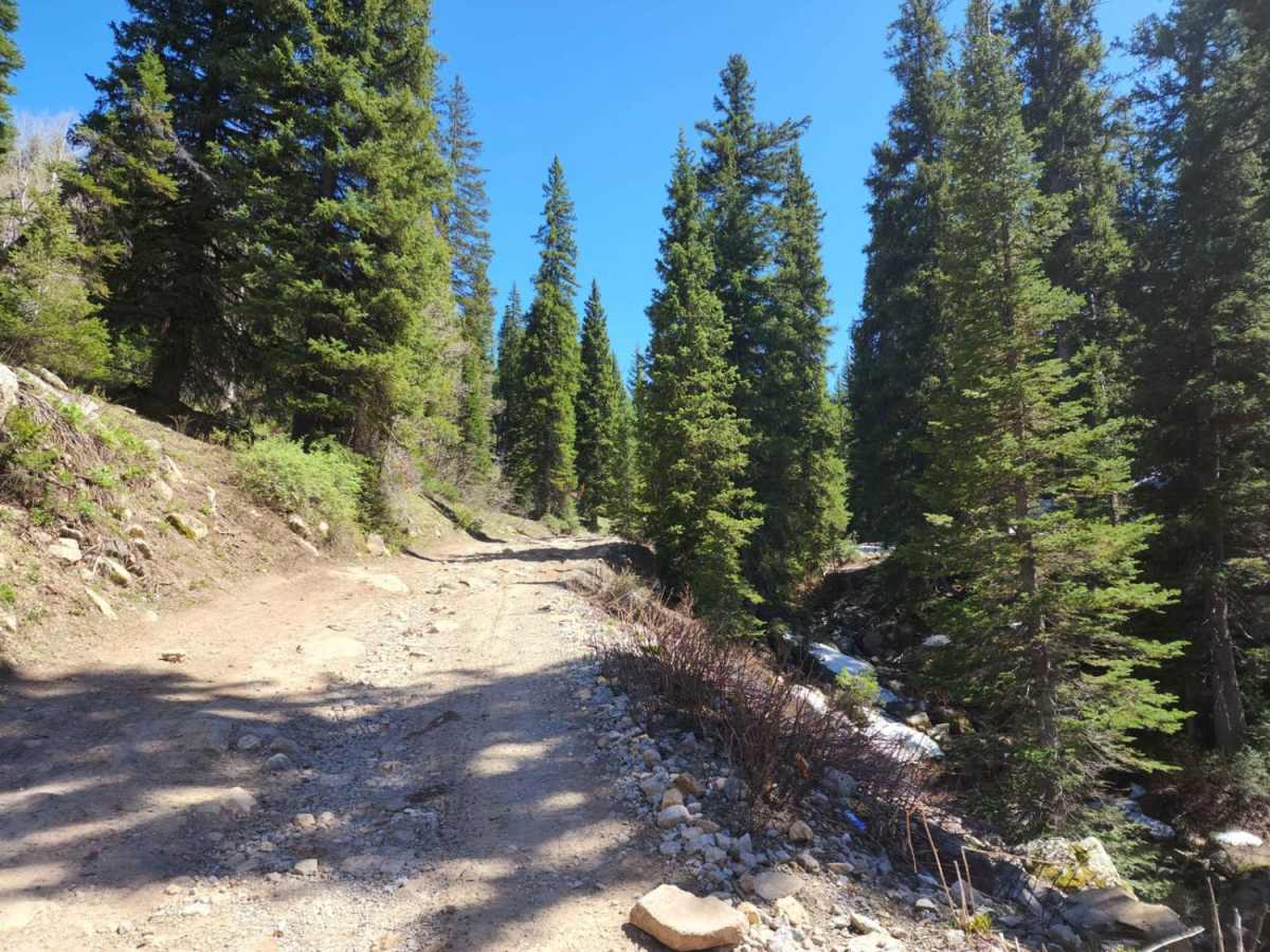 Franklin Basin Idaho Section photo 2