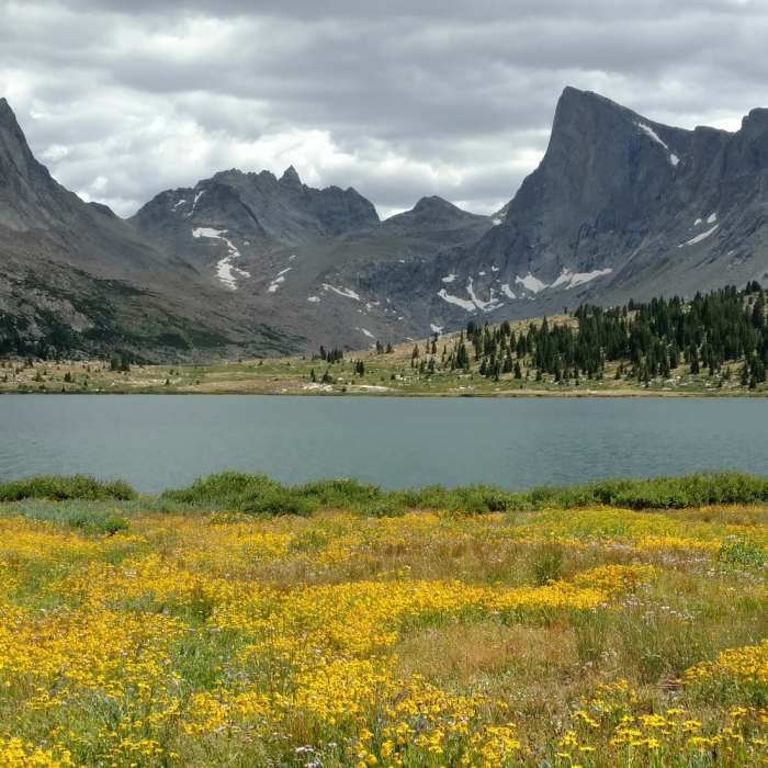 Near Middle Fork Lake Trail Near Middle Fork Lake Trail