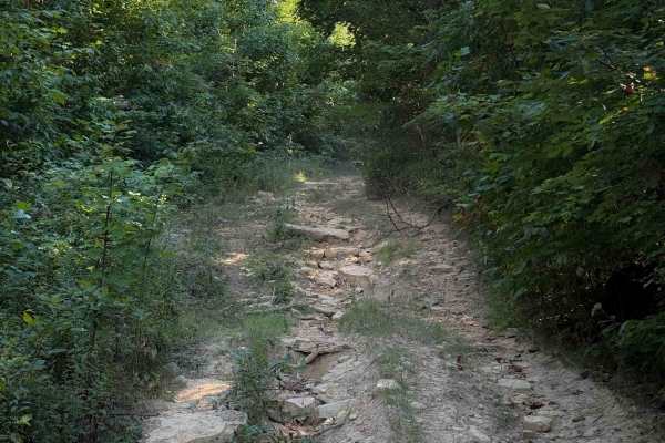 Hurstle Ridge Trail 19