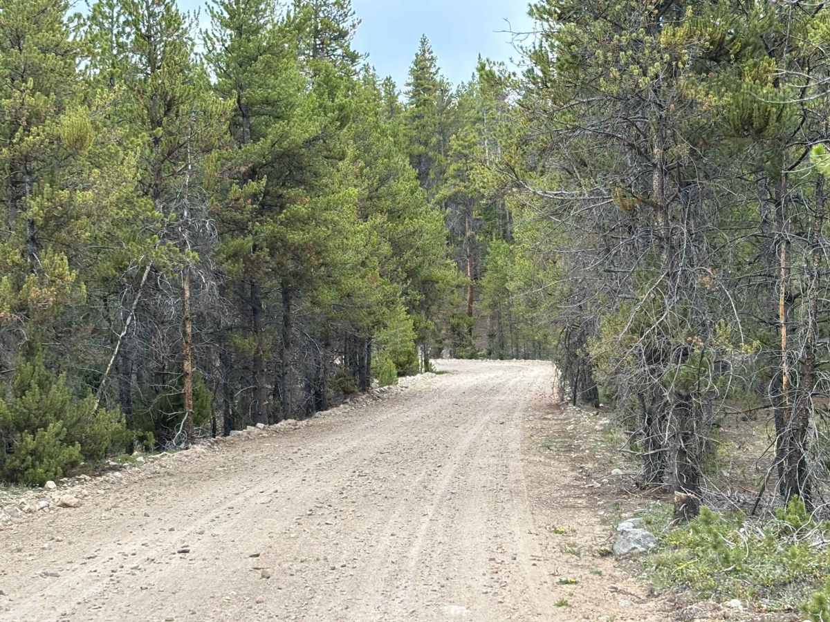Red Mountain Creek Road photo 5