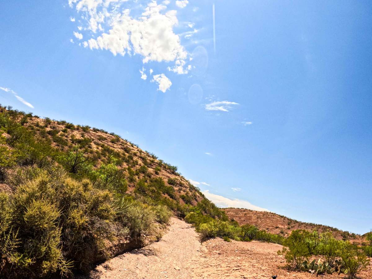 Arroyo photo 4