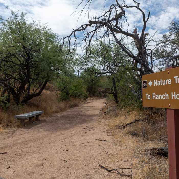 Near Nature Trail Loop