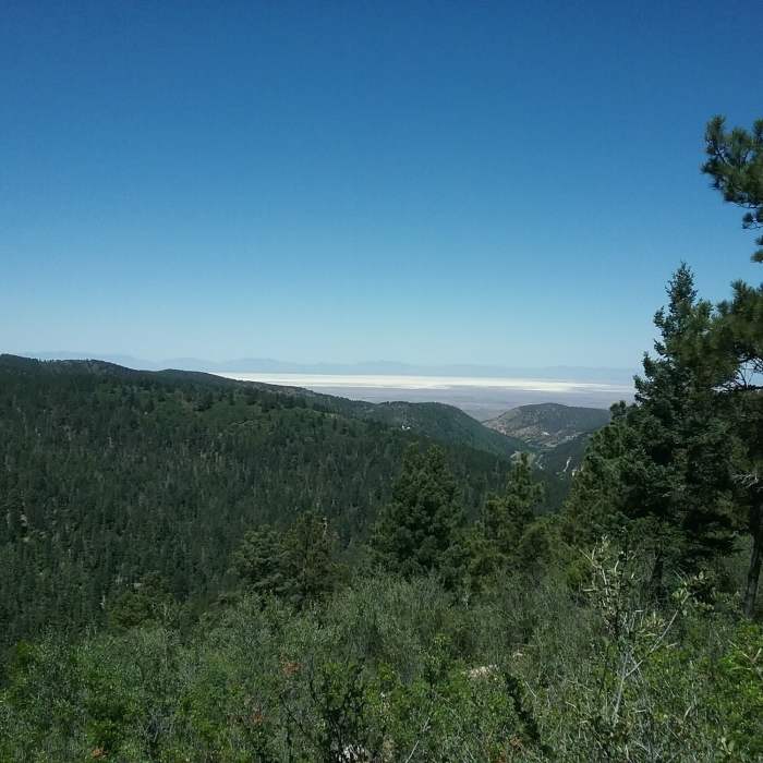 Near Overlook (T5001B)