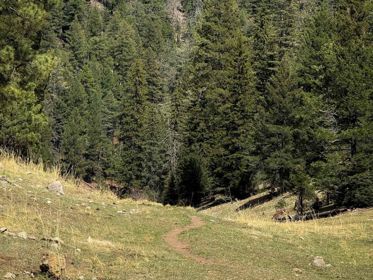 Zinker Canyon Trail  photo 2