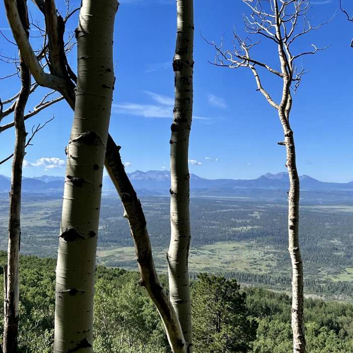 Near Clear Creek Trail