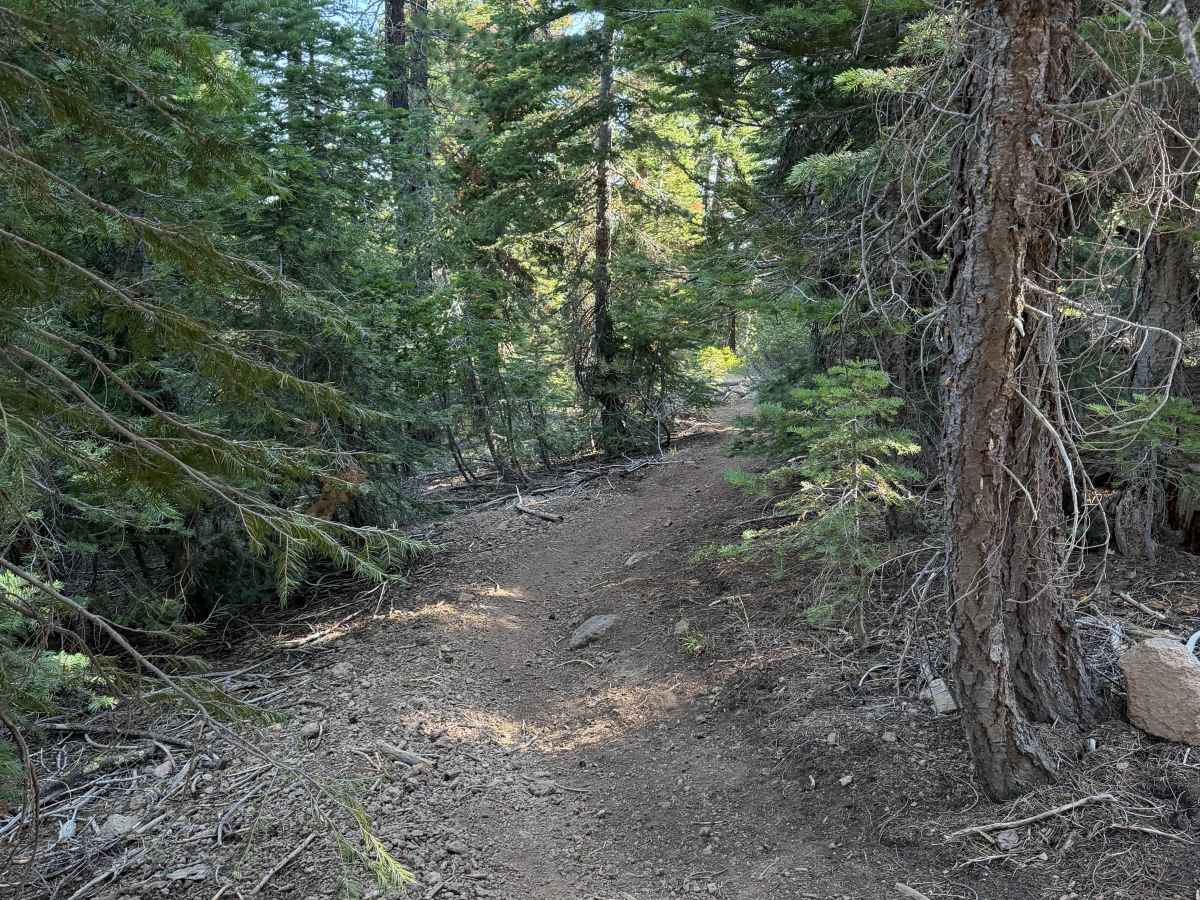 Lower Cena Lar Trail photo 6