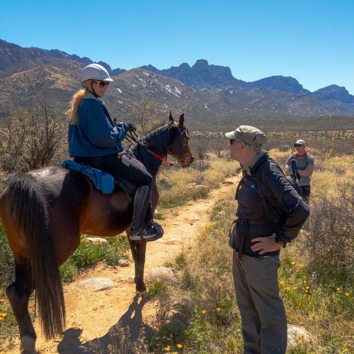Near Sutherland Trail