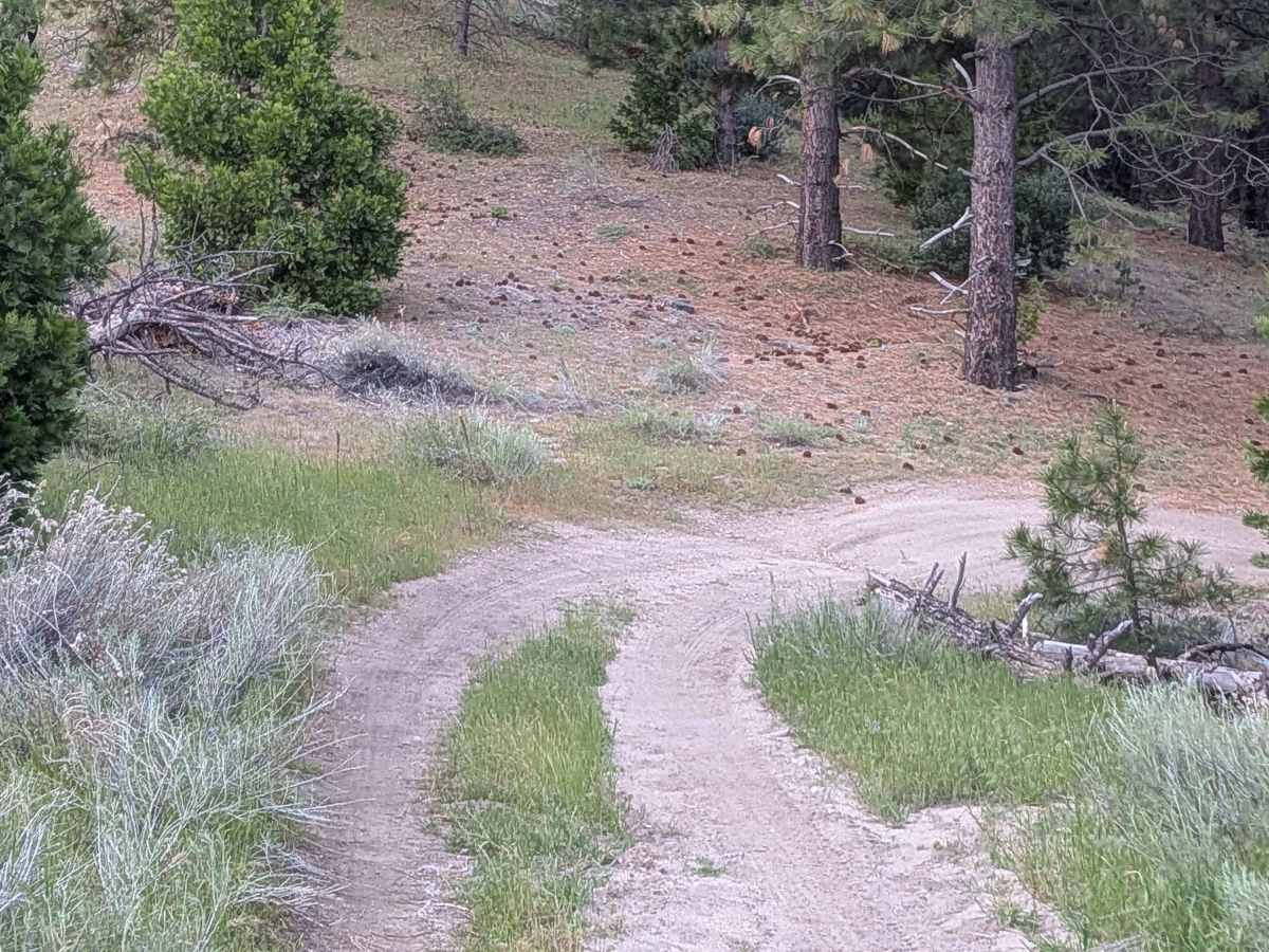 Eagle - FS 27S13 trail photo