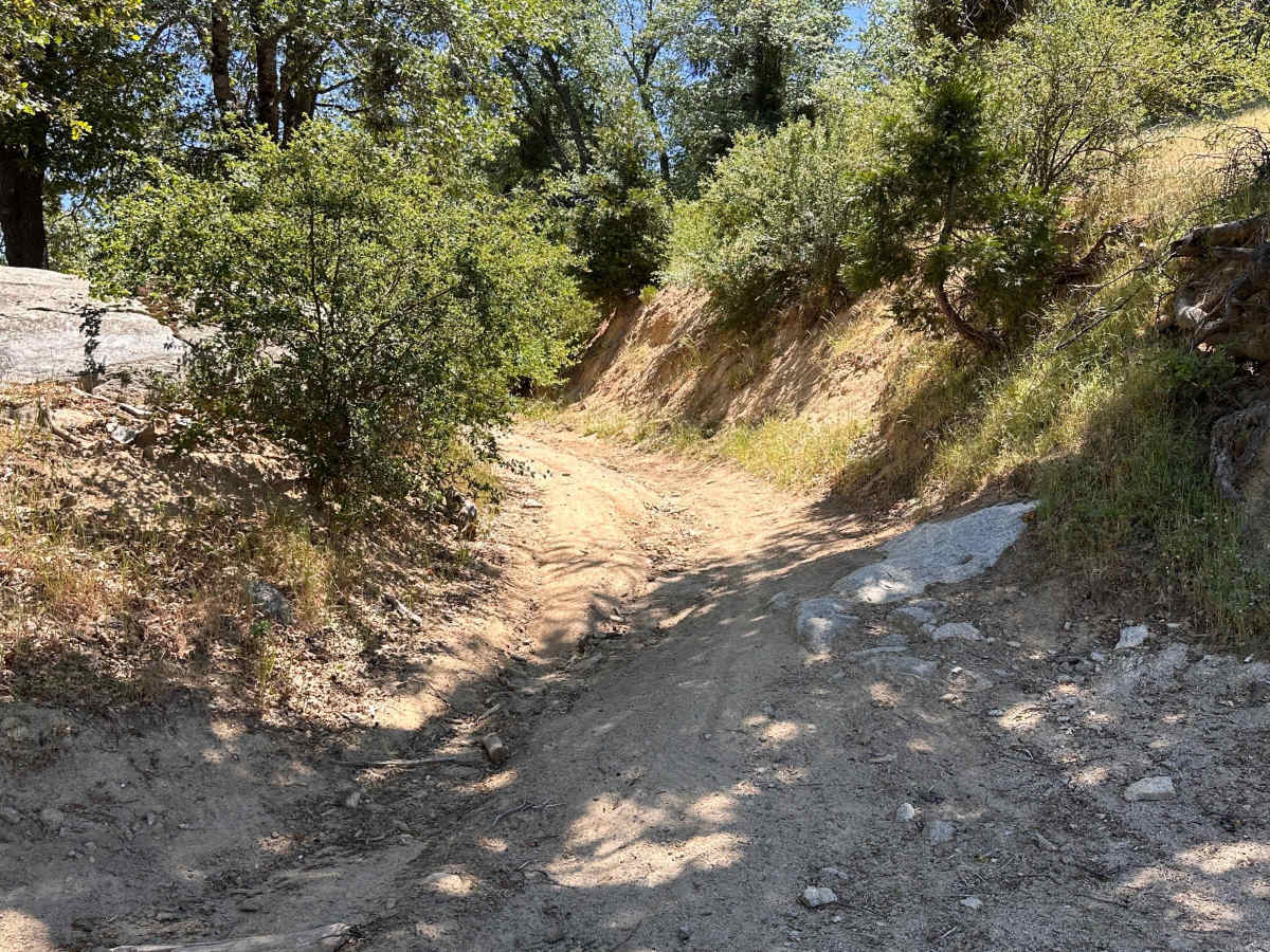 Firebreak Trail photo 3