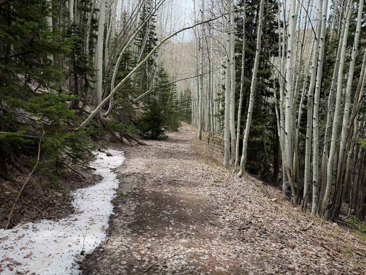 Trail 16   photo 5