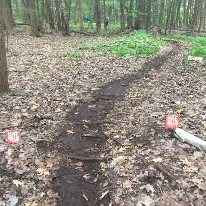 One mile to go! Near Northfield Mountain Trails