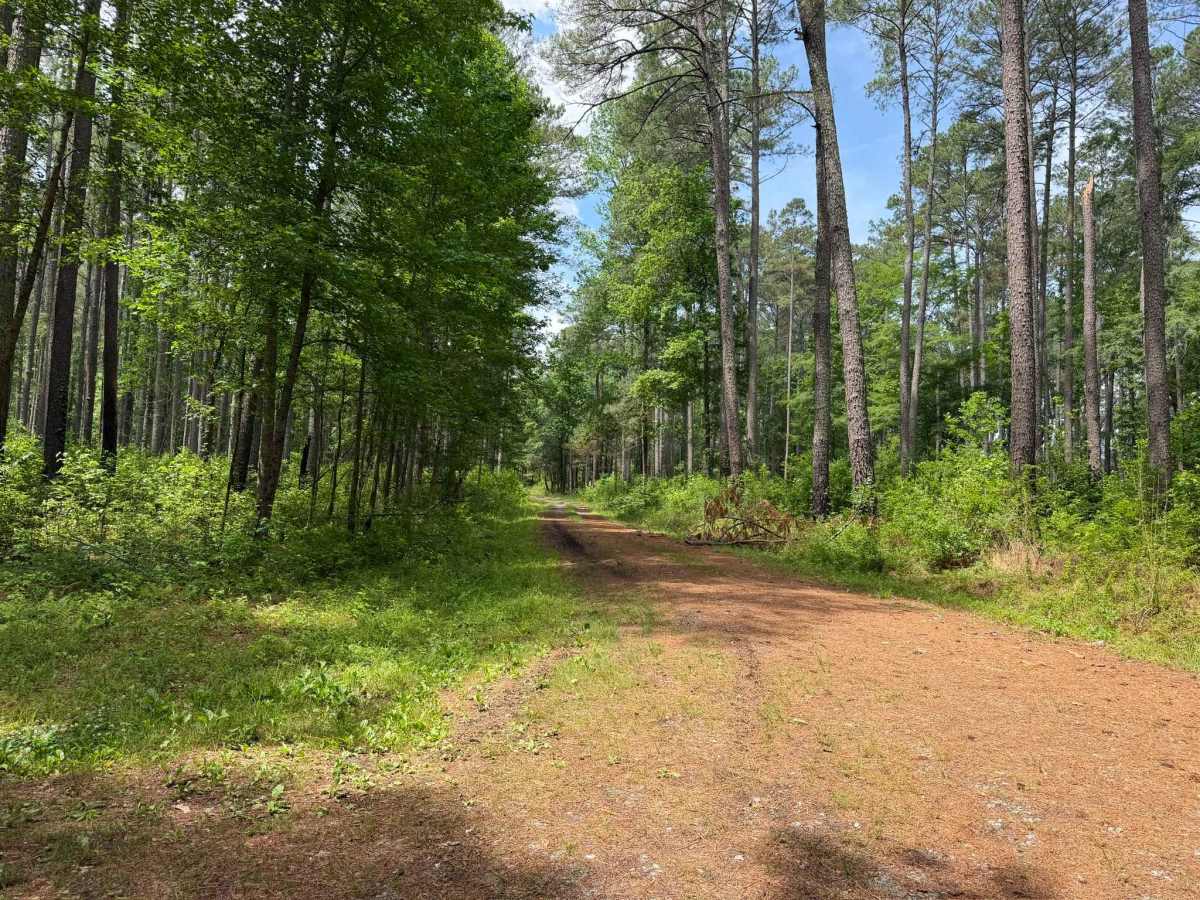 Beaver Pond Road photo 3