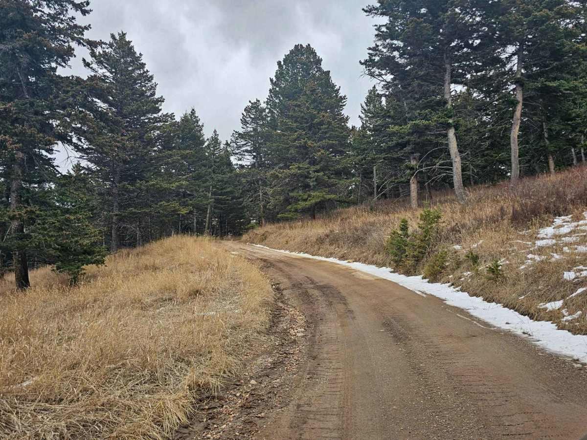 Livingston Peak Road photo 5