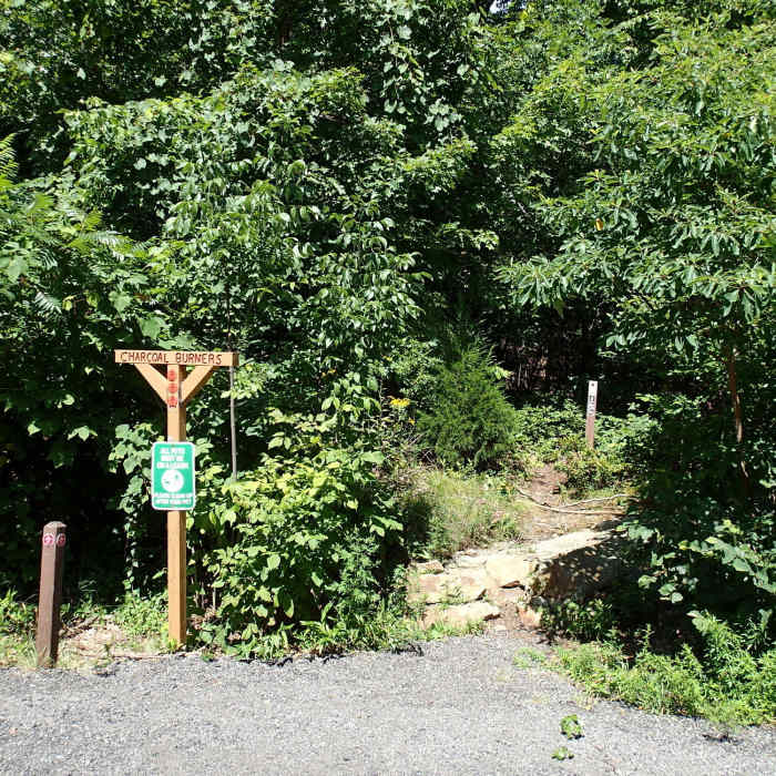 Charcoal Burner Trail at route 301 Near Perkins Trail