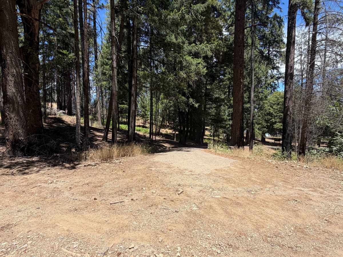 Whitlock - FS 24N19 trail photo