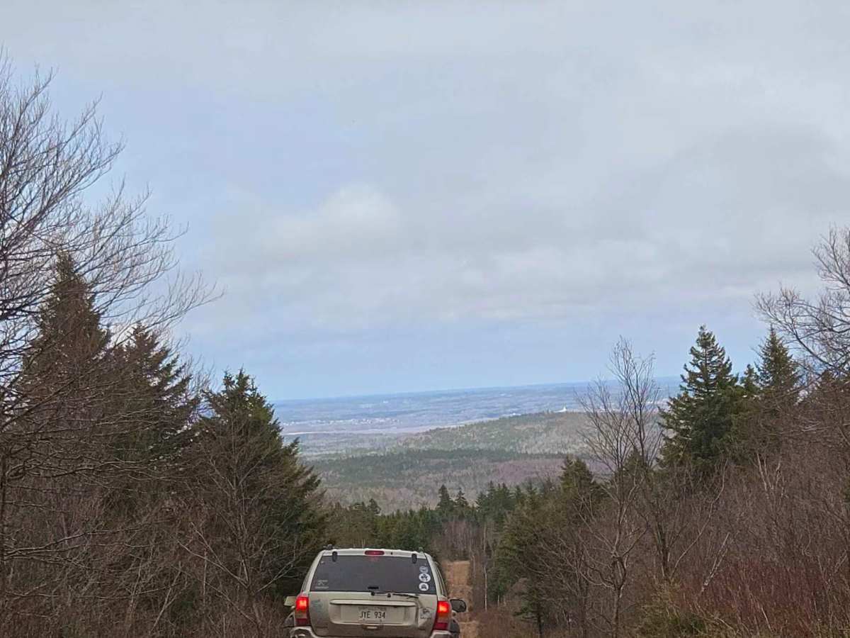 Moosebog photo 4