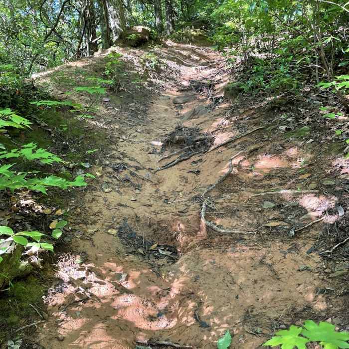 Near Champion Creek Trail