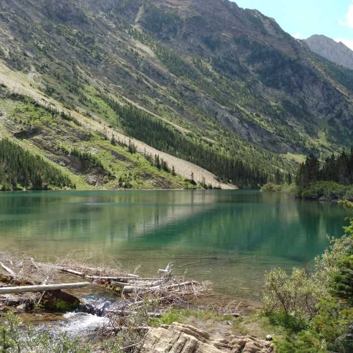 Near Bertha Lake Trail