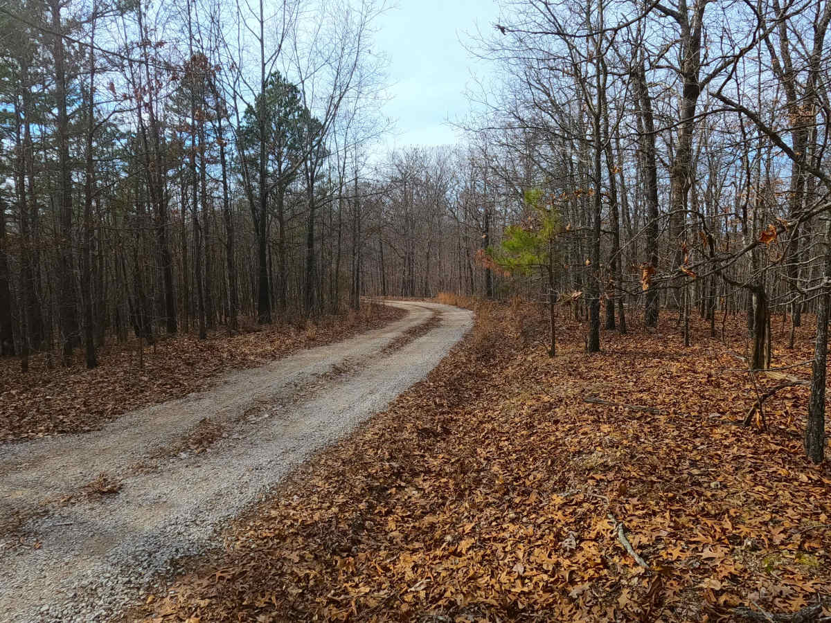 Perkins Ridge - FS 423 photo 4