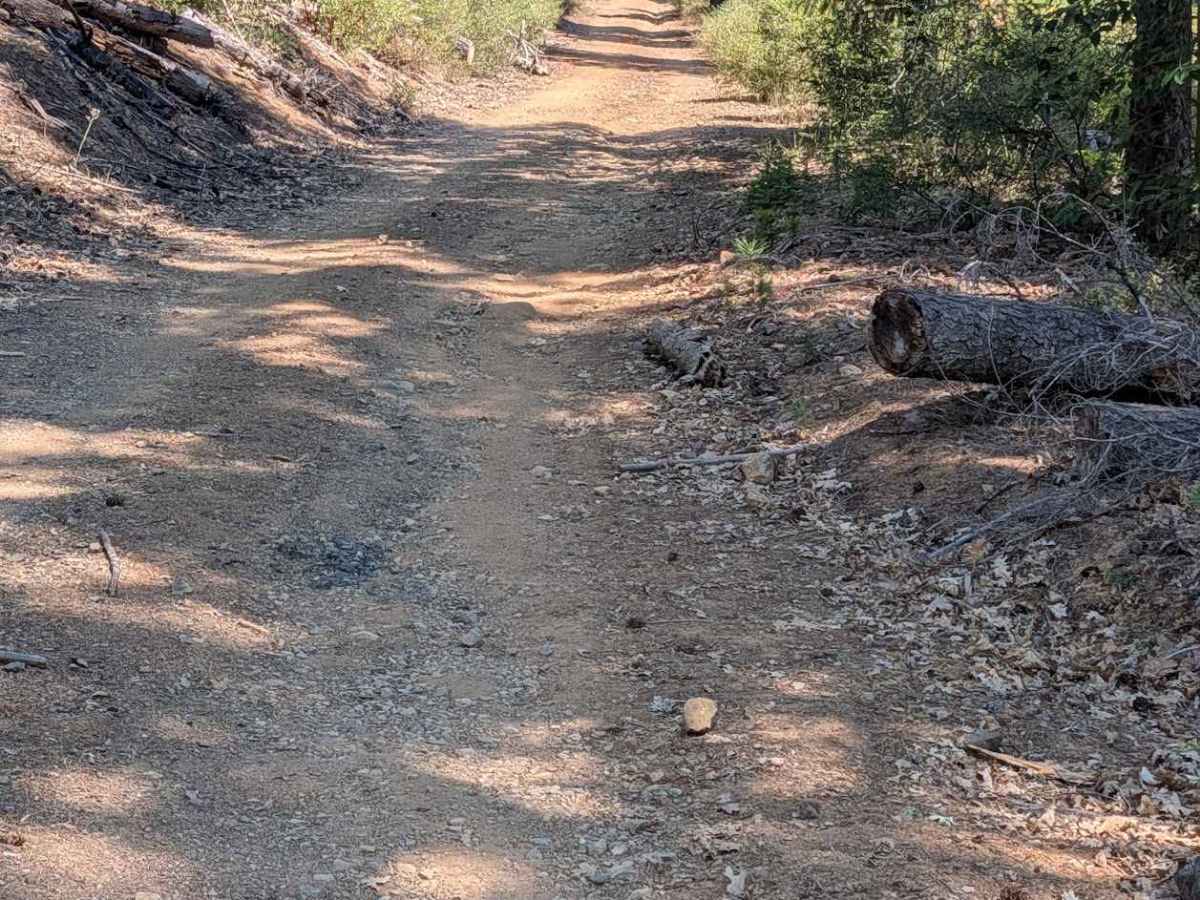 Friend Lake Road - FS 1N35 photo 6