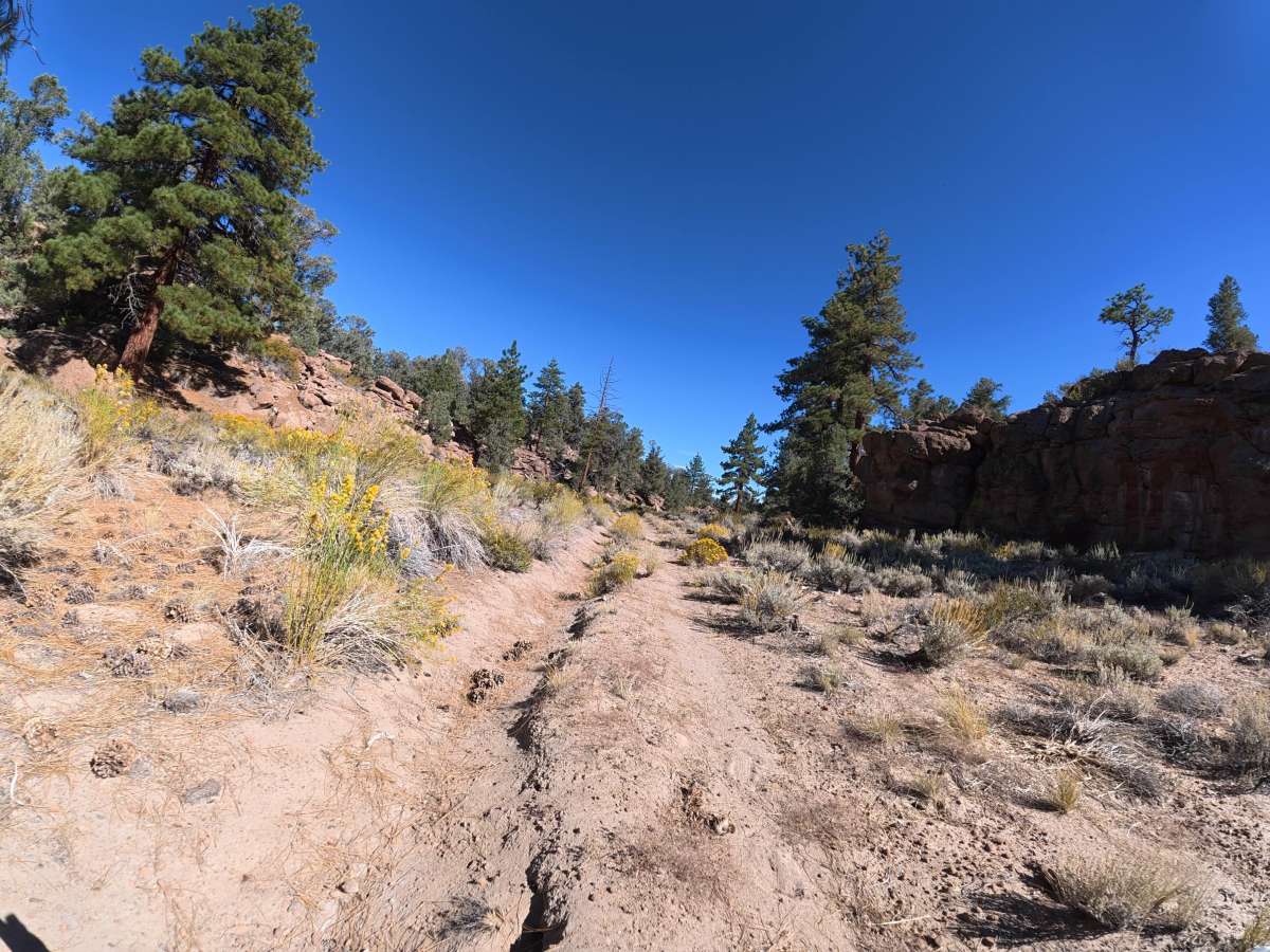 FS 4S127 trail photo