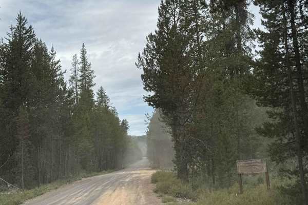 Corral Springs Road - FS 9774