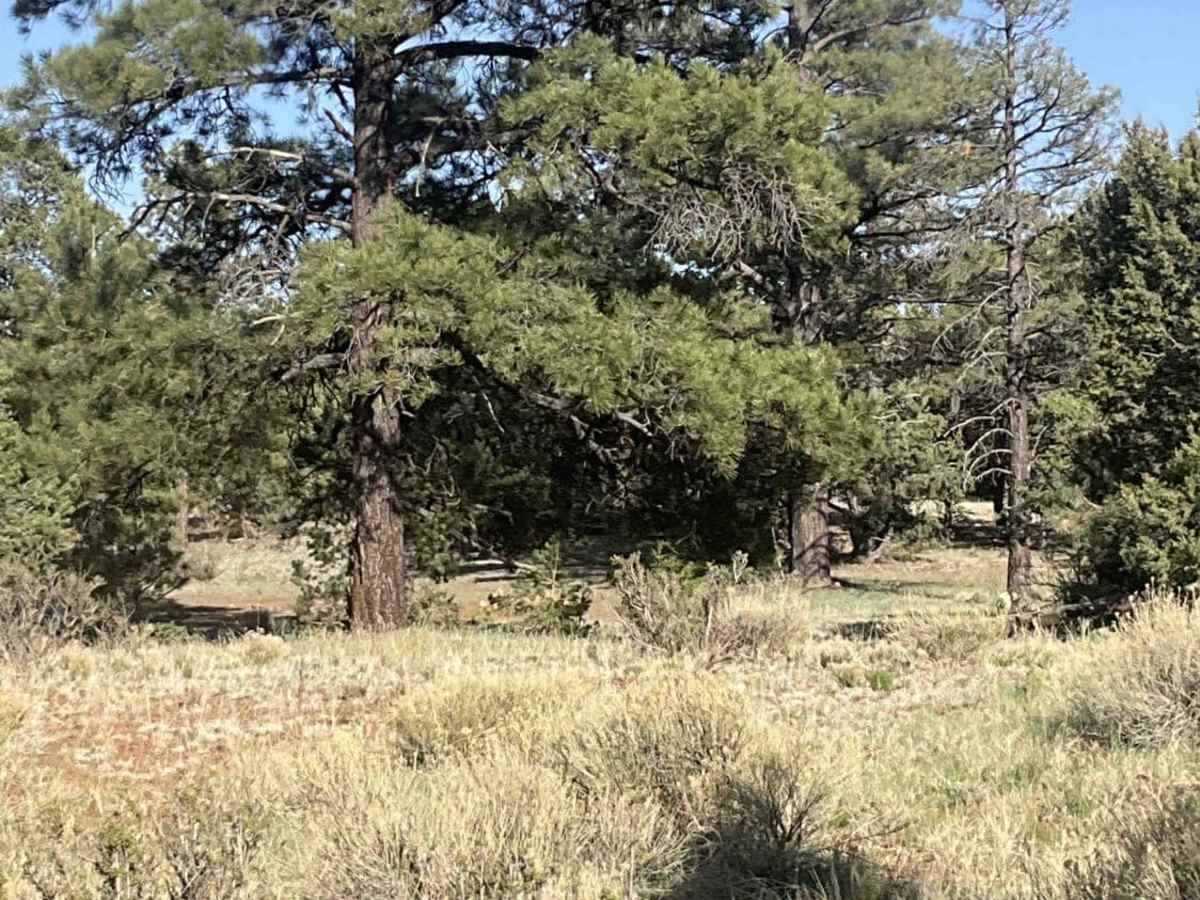 Marshall Lake Road photo 5