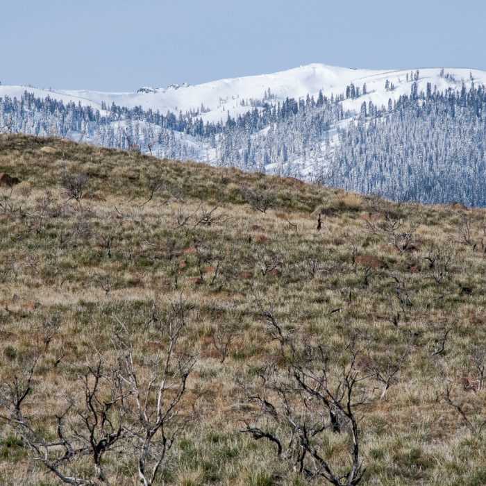 Near Lassen Creek Conservation Area Trail