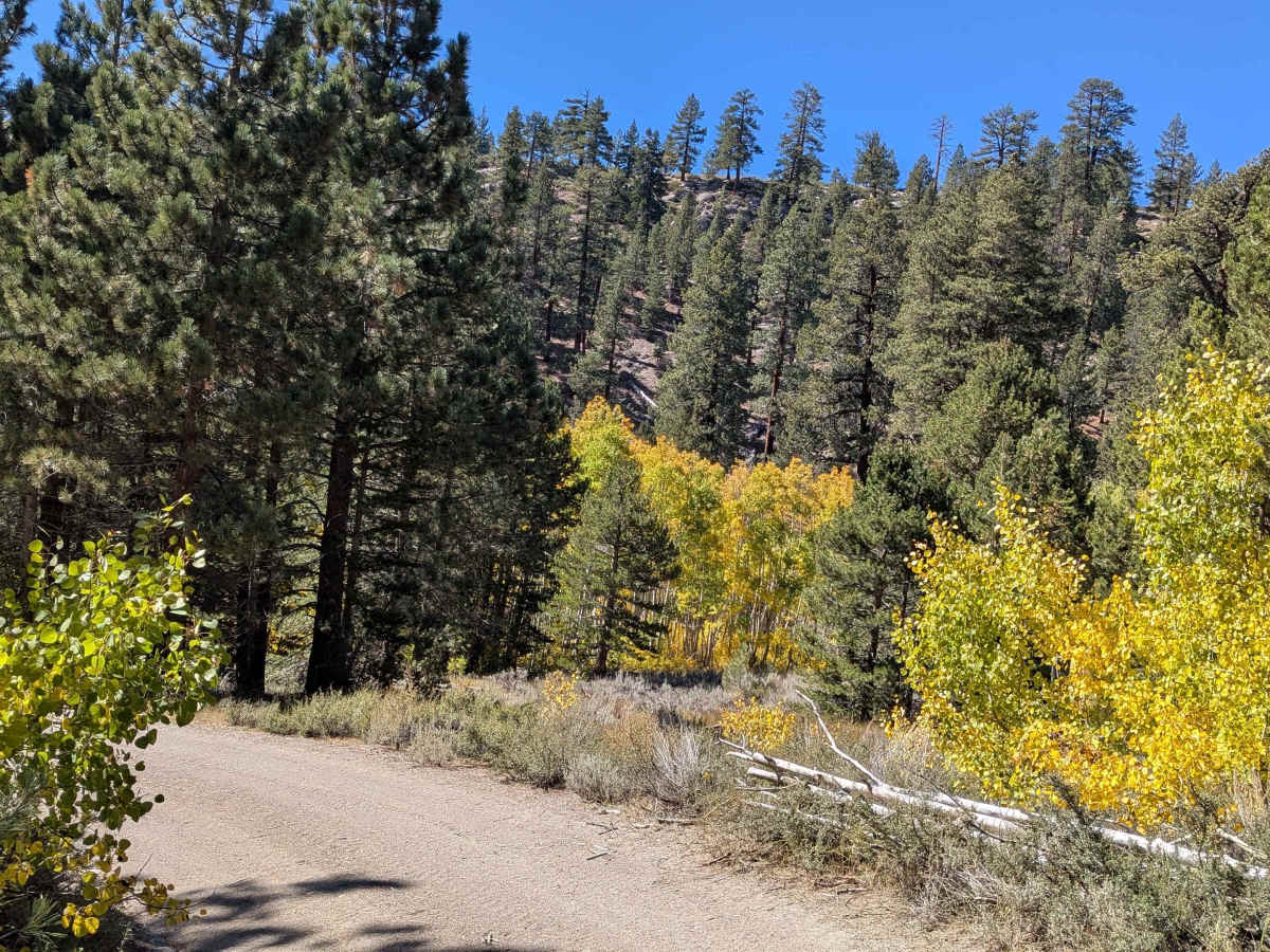 Wall Mountain Springs Road photo 4