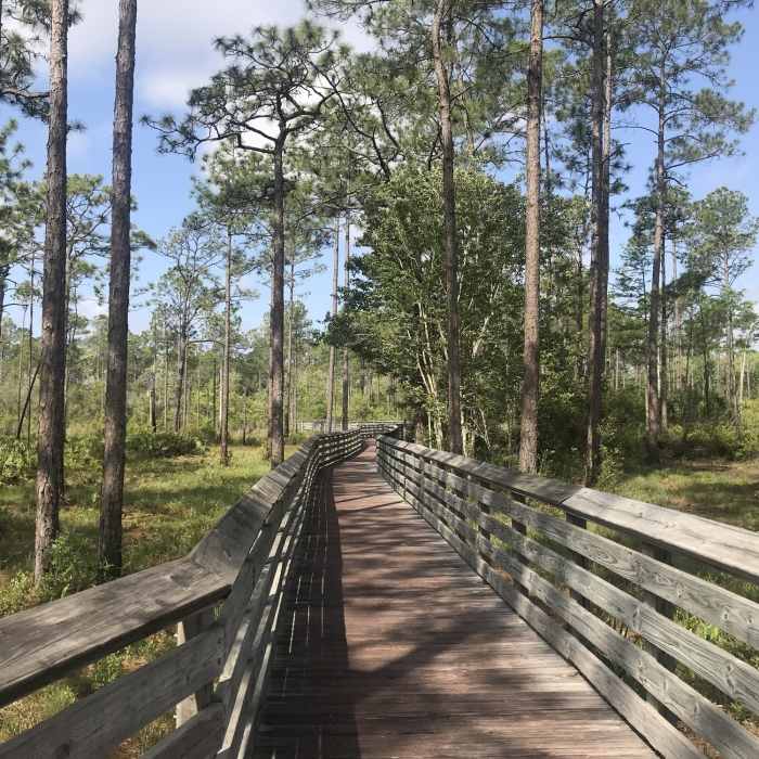 Near Tarkiln Bayou Trail