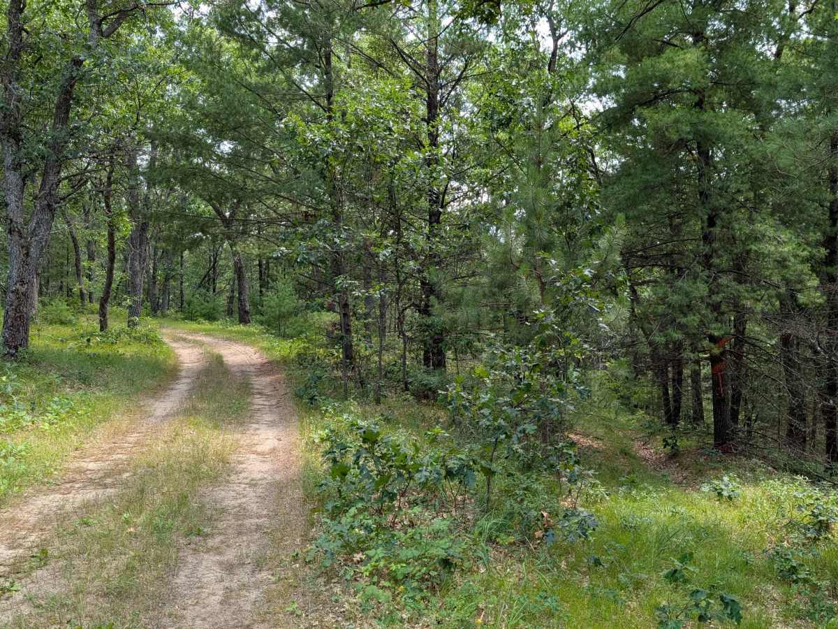 McArdle Road - FS 4432 photo 3