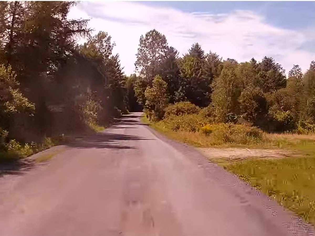 Cassidy Road photo 3