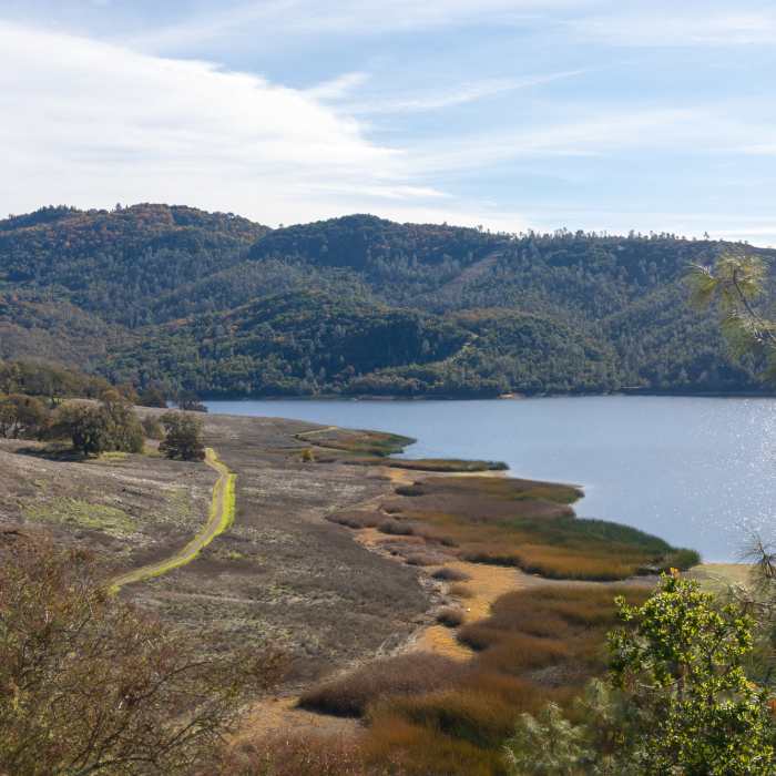 Near Shoreline Trail