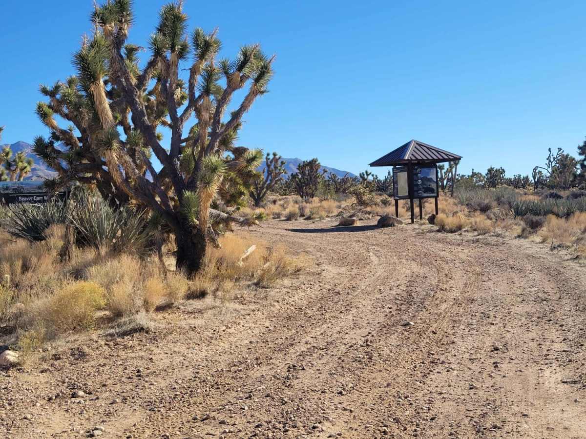 Jackson Wash photo 4