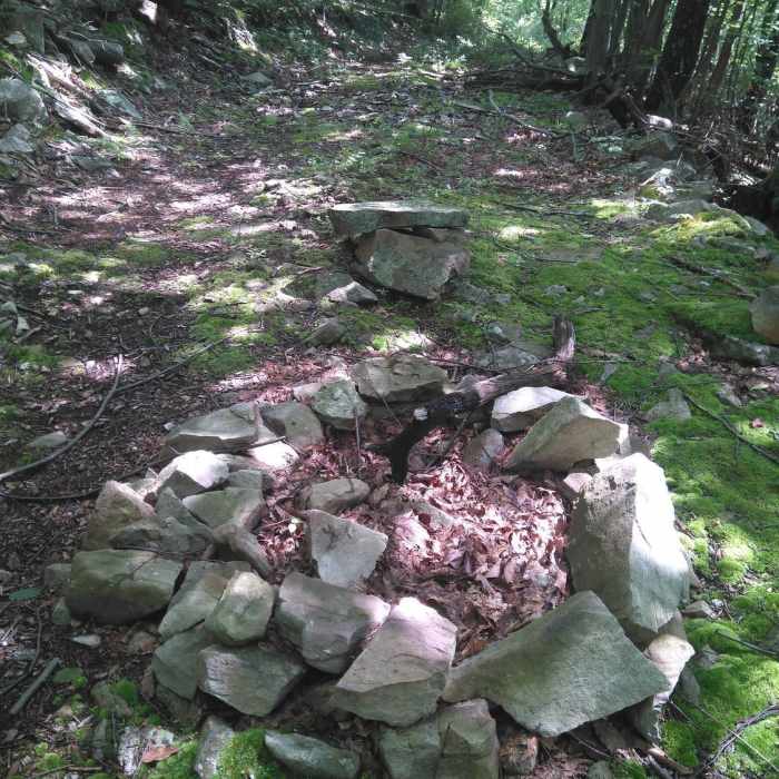 Camp fire ring. Near Huckleberry Loop